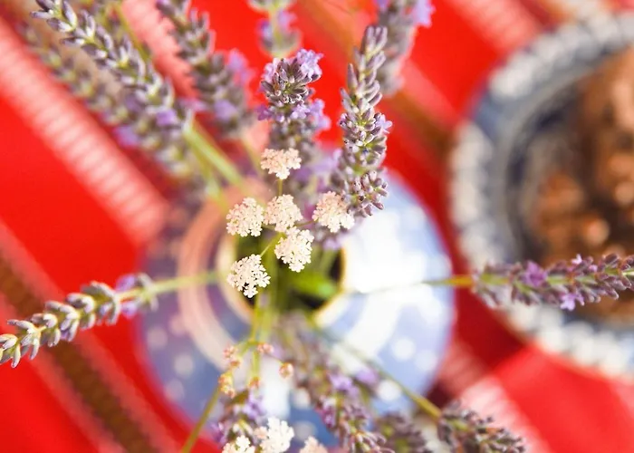 Talblick 2 - Ihr Mitten Im Idyllischen Tal *