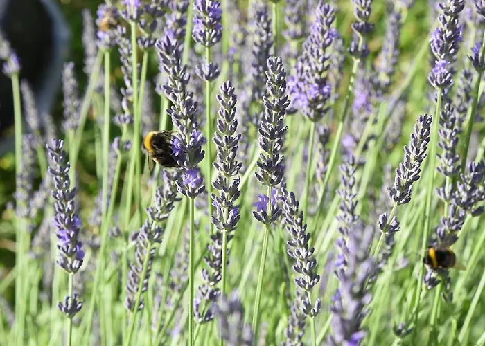 Σπίτι διακοπών Talblick 2 - Ihr Mitten Im Idyllischen Tal Bad Bibra